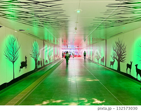 名古屋駅 ルーセントアベニュー 名古屋駅 ルーセントアベニュー 132573030