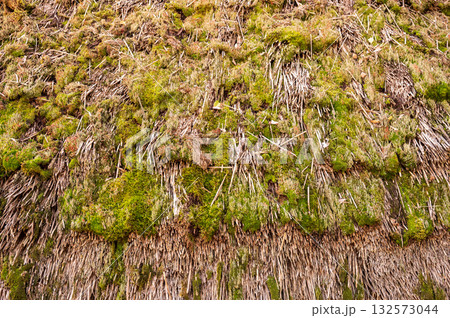苔の生えた茅葺き屋根 クローズアップ素材 苔の生えた茅葺き屋根 クローズアップ素材 132573044