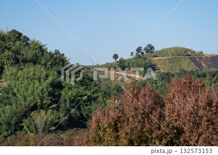 Mountain Serenity, Gentle sunlight paints mountain slopes covered in lush green forest. A tranquil view of untouched nature at Chiang Rai Province, Thailand. 132573153