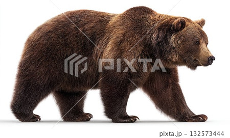 獰猛なヒグマのイメージ01 獰猛なヒグマのイメージ01 132573444