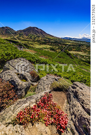 大雪山・当麻乗越から望む旭岳 ― 北海道の雄大な山並み 132573928