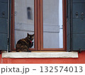 窓際に座る猫 132574013