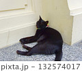 お寺の壁にもたれて眠る黒猫 132574017