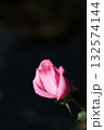 黒バックのピンクのバラ 132574144