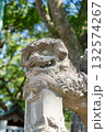 大麻比古神社の狛犬 132574267