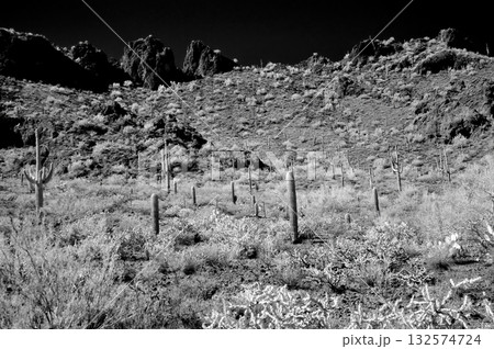 Monochrome Sonoran Desert Arizona Picacho Peak State Park 132574724