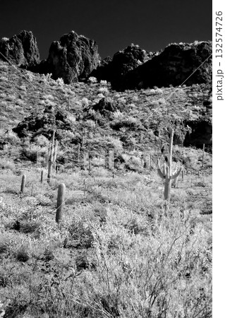 Monochrome Sonoran Desert Arizona Picacho Peak State Park Monochrome Sonoran Desert Arizona Picacho Peak State Park 132574726