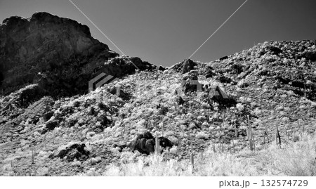 Monochrome Sonoran Desert Arizona Picacho Peak State Park Monochrome Sonoran Desert Arizona Picacho Peak State Park 132574729