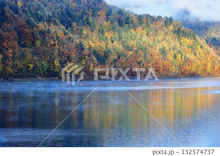 札幌の紅葉 132574737