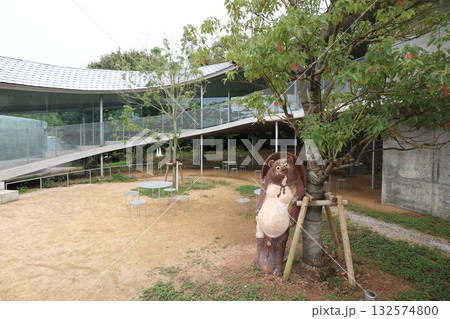 酔っ払い狸 132574800