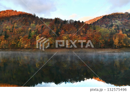 紅葉に染まる 132575496