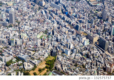 東京都渋谷区恵比寿付近の街並みを空撮 東京都渋谷区恵比寿付近の街並みを空撮 132575737