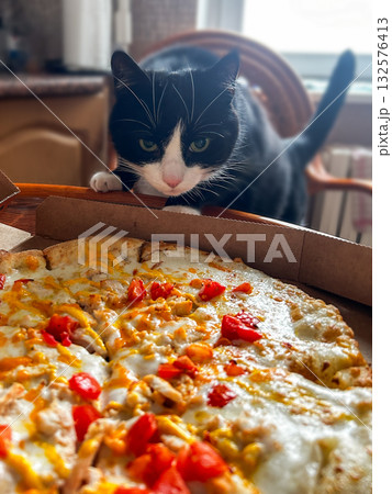 Curious cat investigating freshly delivered pizza. Inquisitive tuxedo cat sniffs steaming pizza just delivered home. Feline curiosity about human food. 132576413
