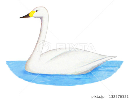 水に浮かぶ白鳥 132576521