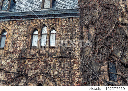 Old castle in Wernigerode covered with dry ivy and gothic details creates a moody mysterious scene. Weathered walls and carved wooden balcony evoke legends and haunting medieval charm Old castle in Wernigerode covered with dry ivy and gothic details creates a moody mysterious scene. Weathered walls and carved wooden balcony evoke legends and haunting medieval charm 132577630