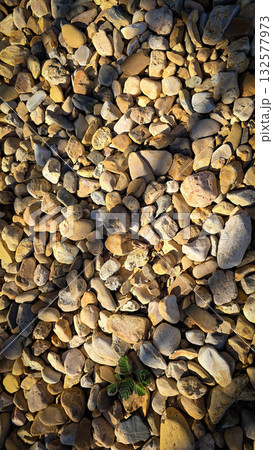 texture of a natural assortment of pebbles and river stones in warm earth tones, ideal for landscaping, garden borders, pathways, or decorative rock surfaces 132577973