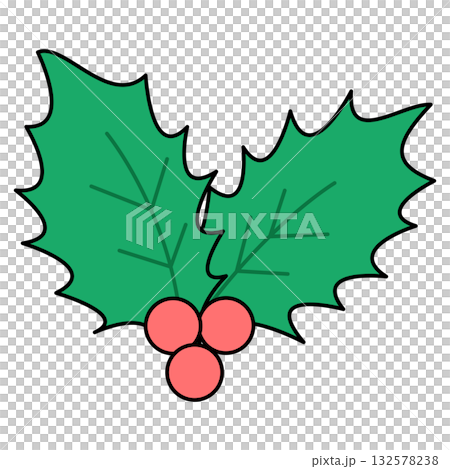 赤い実をつけたヒイラギのベクターイラスト 赤い実をつけたヒイラギのベクターイラスト 132578238