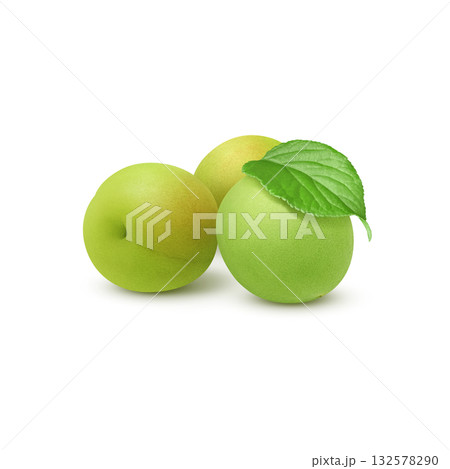 梅のイラスト リアル 梅の実 132578290