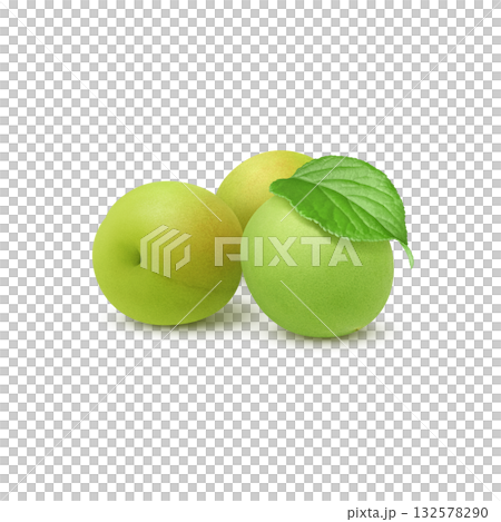 梅のイラスト リアル 梅の実 132578290