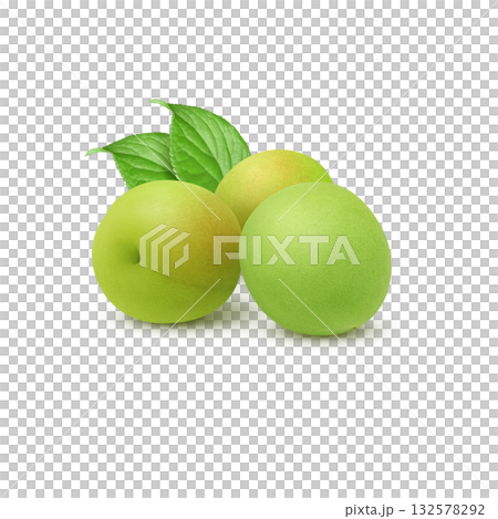 逼真的李子插圖 132578292