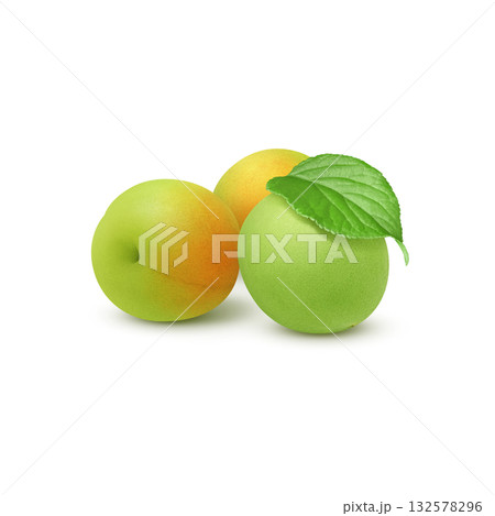 梅のイラスト リアル 梅の実 梅のイラスト リアル 梅の実 132578296