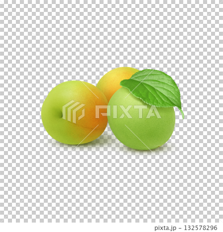 梅のイラスト リアル 梅の実 梅のイラスト リアル 梅の実 132578296