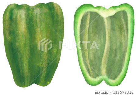 ピーマンの断面のイラスト 132578319