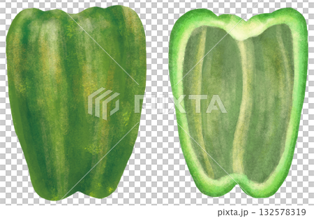 ピーマンの断面のイラスト 132578319
