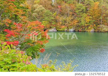 紅葉見頃な五色沼湖沼群 紅葉見頃な五色沼湖沼群 132578512
