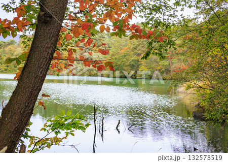 紅葉見頃な五色沼湖沼群 132578519