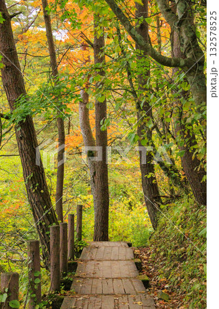 紅葉見頃な五色沼湖沼群 132578525