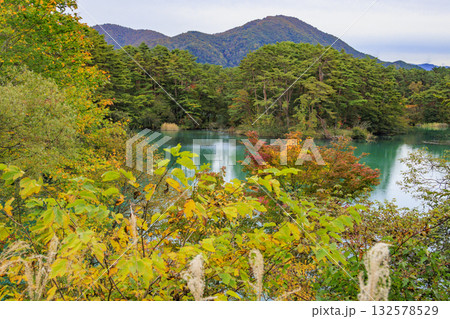 紅葉見頃な五色沼湖沼群 紅葉見頃な五色沼湖沼群 132578529