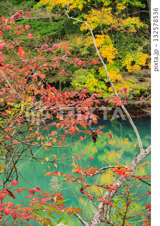 紅葉見頃な五色沼湖沼群 紅葉見頃な五色沼湖沼群 132578536