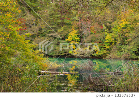 紅葉見頃な五色沼湖沼群 132578537