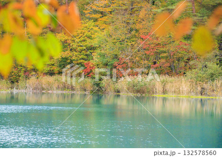 紅葉見頃な五色沼湖沼群 紅葉見頃な五色沼湖沼群 132578560