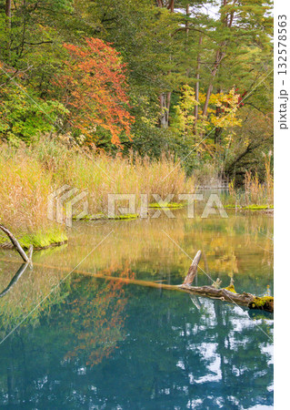 紅葉見頃な五色沼湖沼群 132578563
