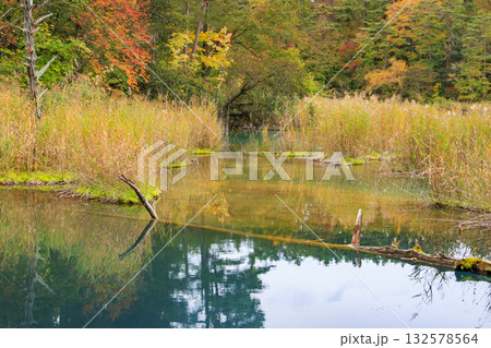 紅葉見頃な五色沼湖沼群 132578564