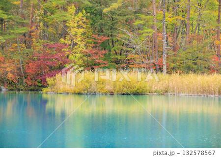 紅葉見頃な五色沼湖沼群 132578567
