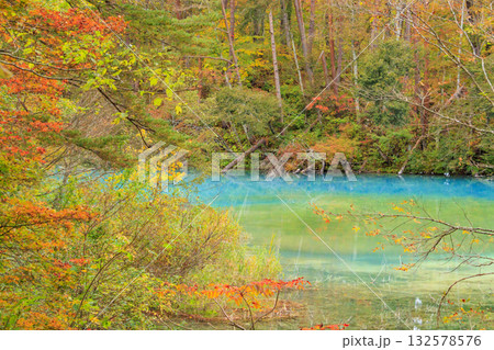 紅葉見頃な五色沼湖沼群 紅葉見頃な五色沼湖沼群 132578576