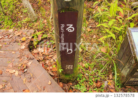 紅葉見頃な五色沼湖沼群 132578578