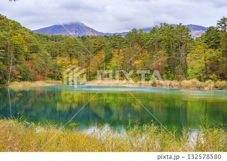 紅葉見頃な五色沼湖沼群 紅葉見頃な五色沼湖沼群 132578580