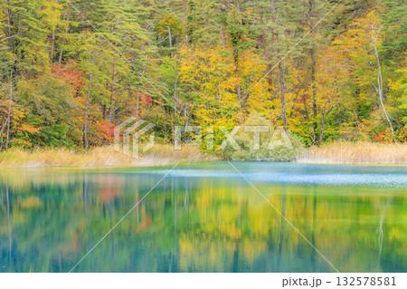 紅葉見頃な五色沼湖沼群 132578581