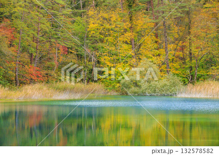 紅葉見頃な五色沼湖沼群 紅葉見頃な五色沼湖沼群 132578582