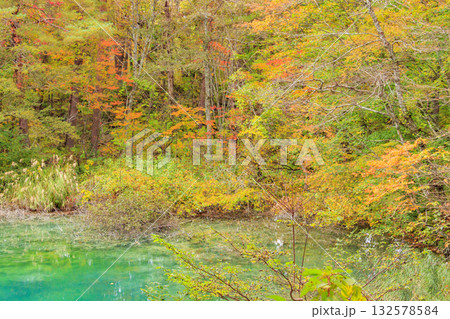 紅葉見頃な五色沼湖沼群 132578584