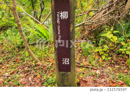 紅葉見頃な五色沼湖沼群 紅葉見頃な五色沼湖沼群 132578597