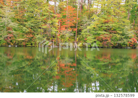 紅葉見頃な五色沼湖沼群 132578599