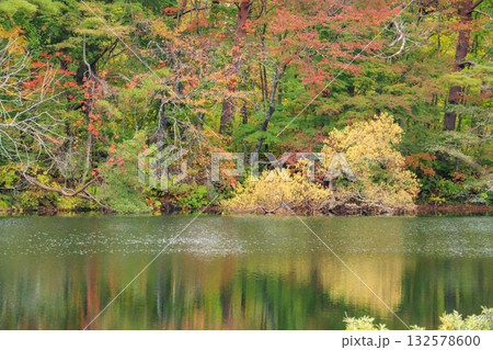 紅葉見頃な五色沼湖沼群 132578600