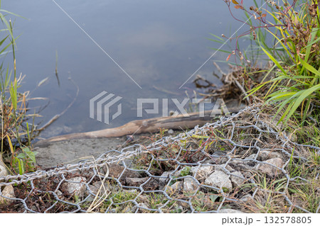 Gabion mesh with rugged stones effectively reinforces a serene riverbank, providing vital erosion control and protecting the delicate aquatic ecosystem 132578805