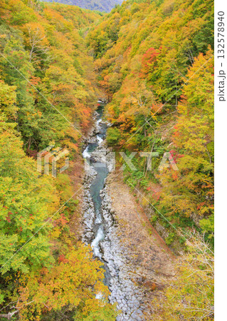 紅葉見頃な中津川渓谷 132578940