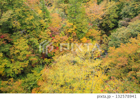 紅葉見頃な中津川渓谷 132578941